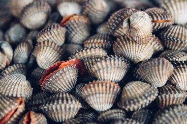 Taze çiğ deniz tarak istiridye deniz ürünleri Market