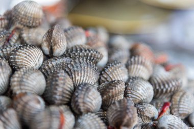 Taze çiğ deniz tarak istiridye deniz ürünleri Market