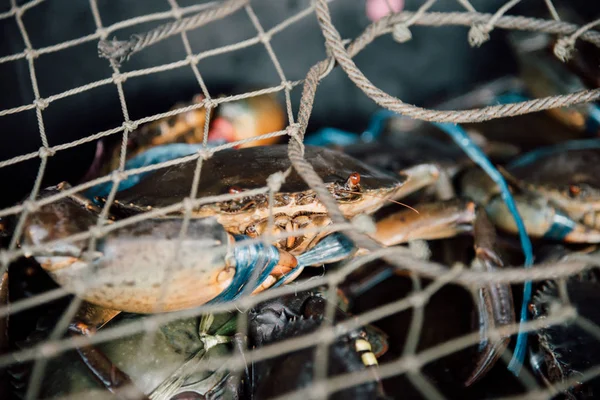 Cangrejo crudo fresco en el mercado de mariscos o comida callejera — Foto de Stock