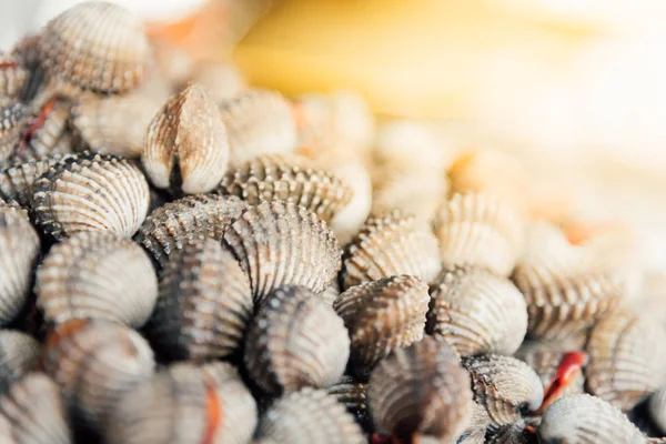 Cockles di mare crudo fresco vongole al mercato dei frutti di mare — Foto Stock