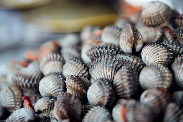 Cockles di mare crudo fresco vongole al mercato dei frutti di mare — Foto Stock