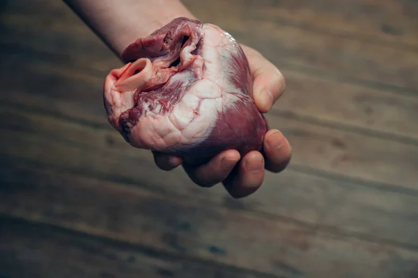 Srdce (prasečí srdce) v ruce pro koncept kardiologie — Stock fotografie