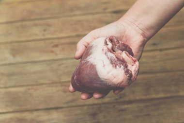 Kalp (domuz kalbi) kardiyoloji konsepti için