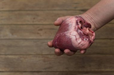 Kalp (domuz kalbi) kardiyoloji konsepti için