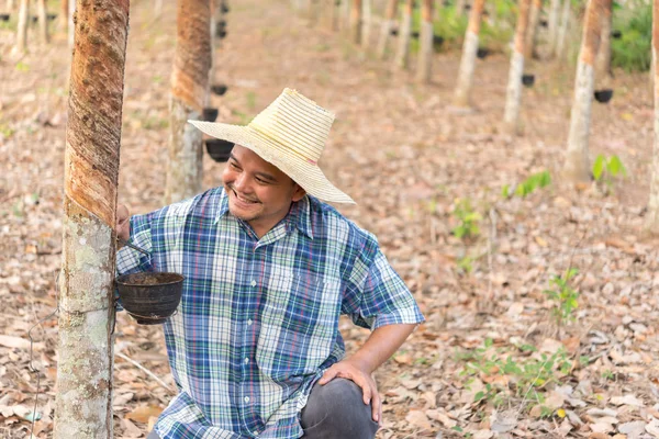 Agricultor agricultor Plantación de árboles de caucho — Foto de Stock