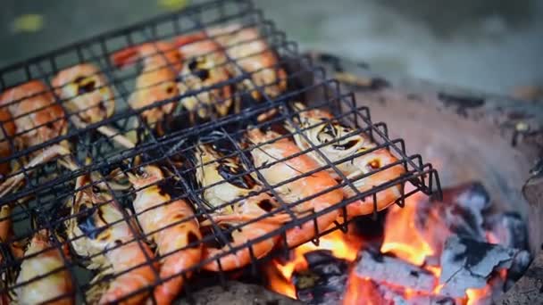 Grilled Garnalen Giant Zoetwater Garnalen Grillen Met Houtskool Koop Bij — Stockvideo