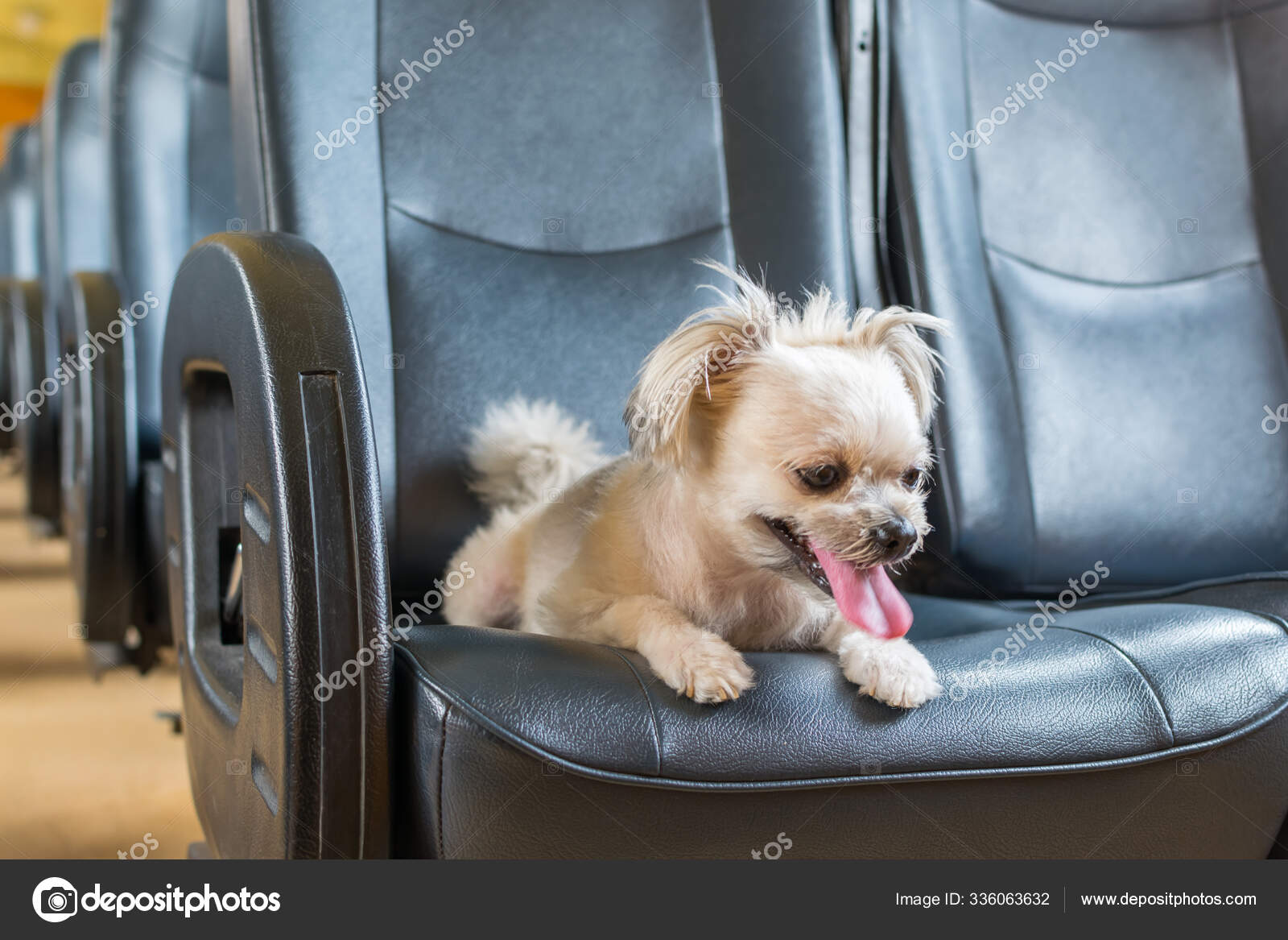 Trop Mignon Images Libres De Droit Photos De Trop Mignon Depositphotos