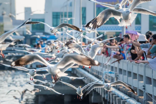 Samut Prakarn Tailandia Diciembre 2019 Bang Proporciona Hábitat Para Grandes — Foto de Stock