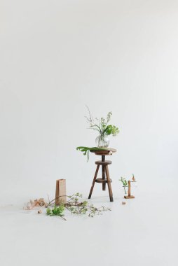 Beyaz arka planda bitkiler. İç mekanda minimalizm. Eko biçimi