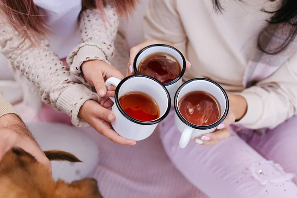 Сім Чай Залізних Чашок Чай Залізних Чашках Пікнік Сільській Місцевості — стокове фото