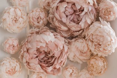 Dekoratif çiçeklerin dokusu kapanıyor. Geniş desenli yapay çiçekler. Büyük yapay çiçekli fotoğraf bölgesi. 