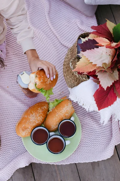 Пікнік Сільській Місцевості Чай Стаканчиках Олова Сімейний Пікнік Пікнік Бутербродами — стокове фото
