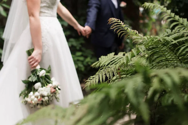 The bride and groom hold hands. Stylish groom and bride. Photo session for the groom and bride.