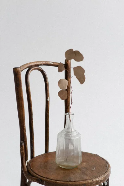 Tahıllı fotoğraflar. Vazoda kuru bir çiçek. Minimalistik olarak bir çiçek. 