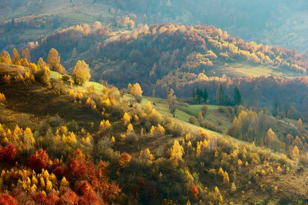 カルパチア山脈の秋 — ストック写真