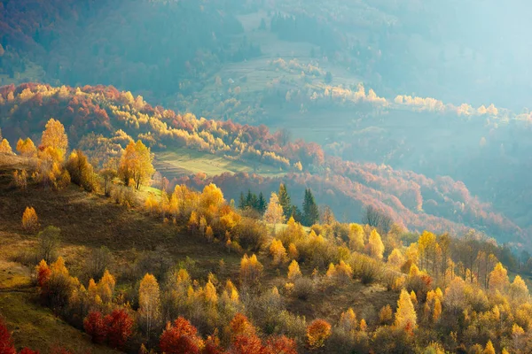 Φθινόπωρο στα Καρπάθια βουνά — Φωτογραφία Αρχείου