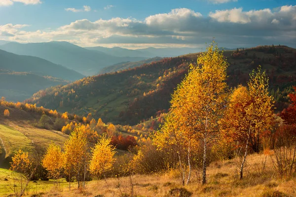 Outono nas montanhas dos Cárpatos — Fotografia de Stock