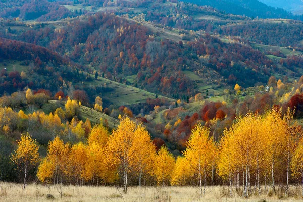 Autumn in the Carpathian mountains — Stock Photo, Image