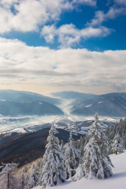 Karpatya dağlarında kış