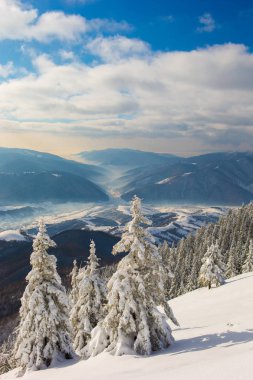 Karpatya dağlarında kış