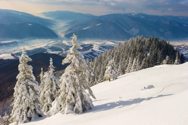 Invierno en las montañas de los carpatos — Foto de Stock