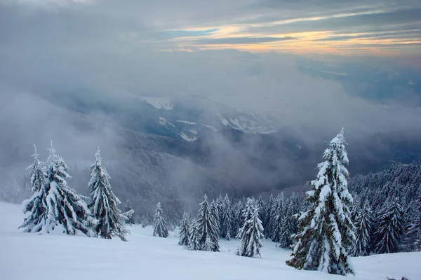Inverno sulle montagne carpatiche — Foto Stock