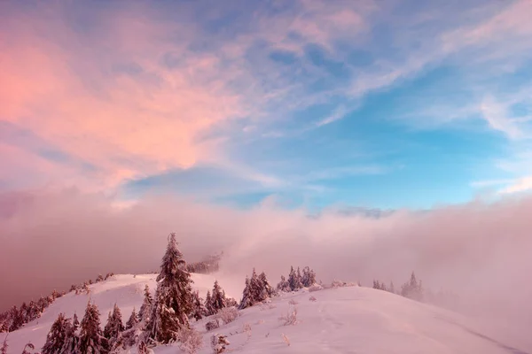 Hiver dans les montagnes des Carpates — Photo