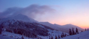 kış orman ve dağlar Karpatlar
