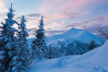 kış orman ve dağlar Karpatlar