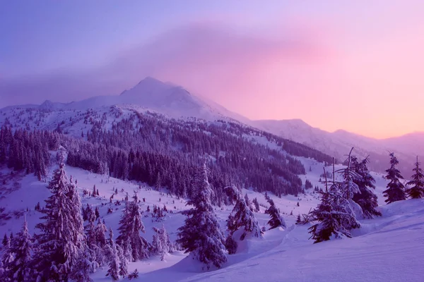 Зимний лес и горы Карпаты — стоковое фото