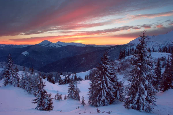 冬季森林和喀尔巴阡山脉 — 图库照片