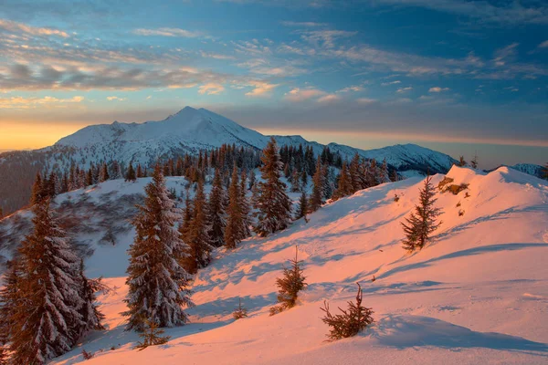 Winter forest and mountains Carpathians — Stock Photo, Image