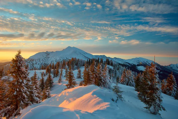Winterwald und Gebirgskarpaten — Stockfoto