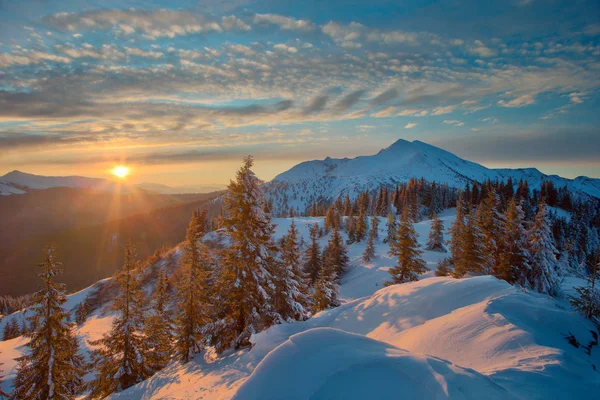 Bosque de invierno y montañas Cárpatos — Foto de Stock