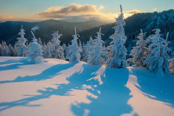 Foresta invernale e montagne Carpazi — Foto Stock