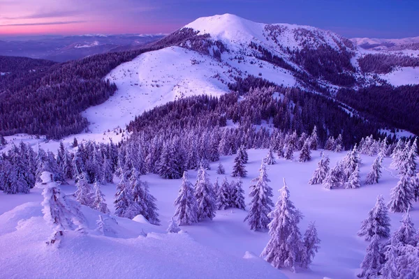 Winterwald und Gebirgskarpaten — Stockfoto