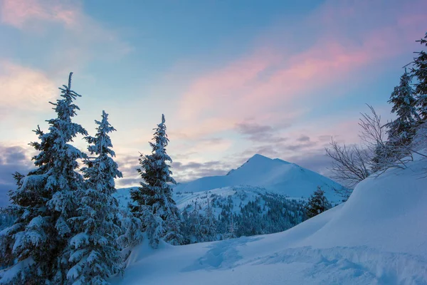 Bosque de invierno y montañas Cárpatos — Foto de Stock