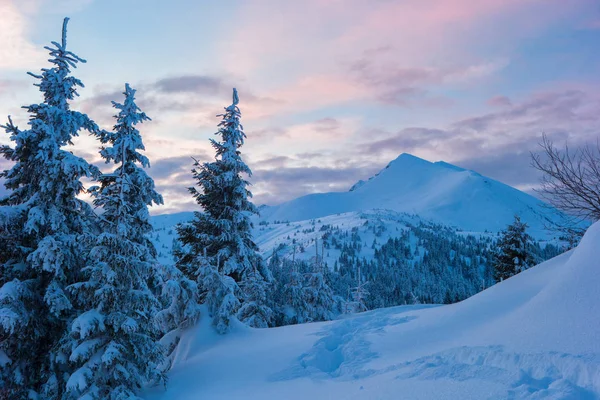 Bosque de invierno y montañas Cárpatos — Foto de Stock