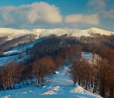 dağlarda erken Bahar