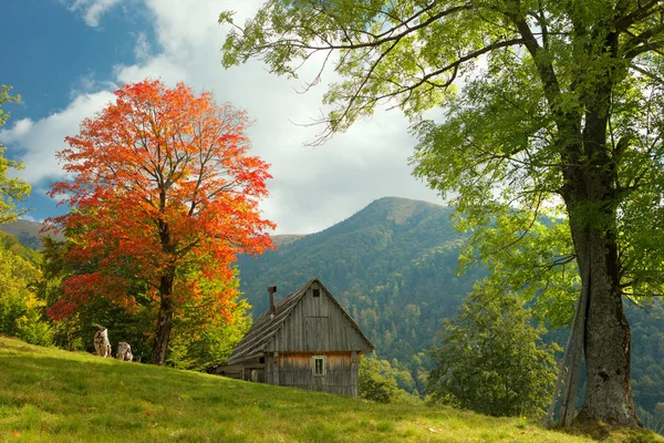 sonbahar dağ köyü