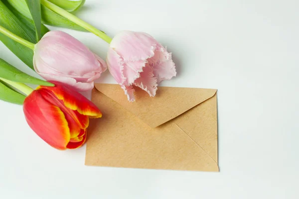 Greeting card and three tulips — Stock Photo, Image