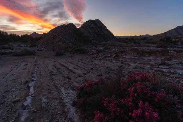 Desert Landscape photography at sunset in spain
