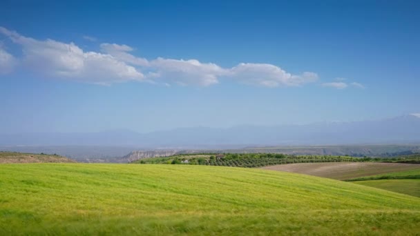 Όμορφη Ηλιόλουστη Μέρα Πράσινο Πεδίο Και Μπλε Ουρανό Μερικά Σύννεφα — Αρχείο Βίντεο