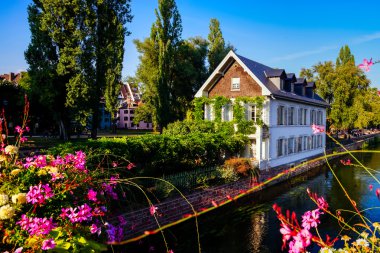 Eski Merkezi Strasbourg. Tipik alsacien evler Nehri üzerinde. 