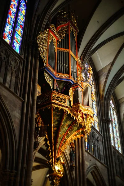 Majestic Strasbourg cathedral interior, golden decor — ストック写真