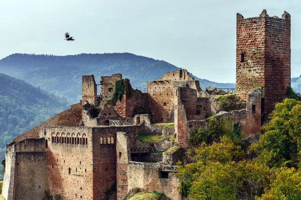 Görkemli Ortaçağ Kalesi Saint-Ulrich tepenin üst kısmında — Stok fotoğraf