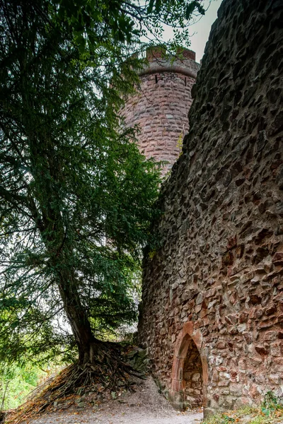 Majestoso castelo medieval Haut-Ribeaupierre no topo do hil — Fotografia de Stock