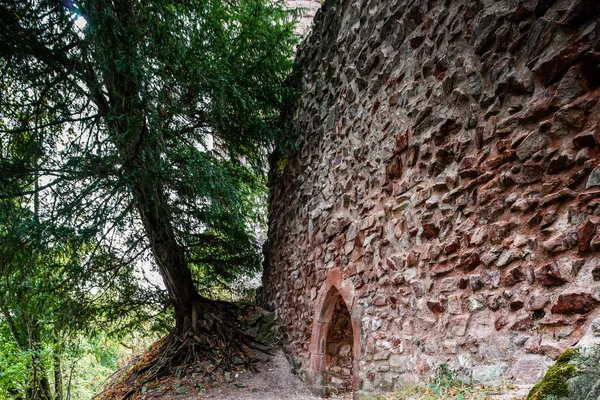 Görkemli Ortaçağ Kalesi Haut-Ribeaupierre hil üst — Stok fotoğraf