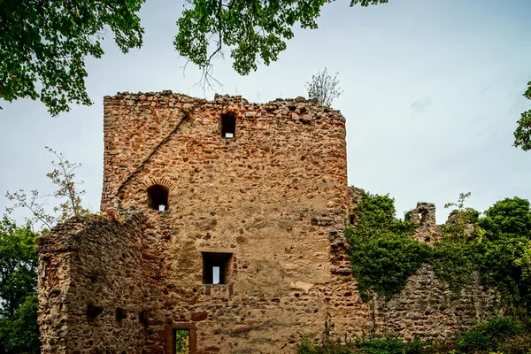 Görkemli Ortaçağ Kalesi Haut-Ribeaupierre hil üst — Stok fotoğraf