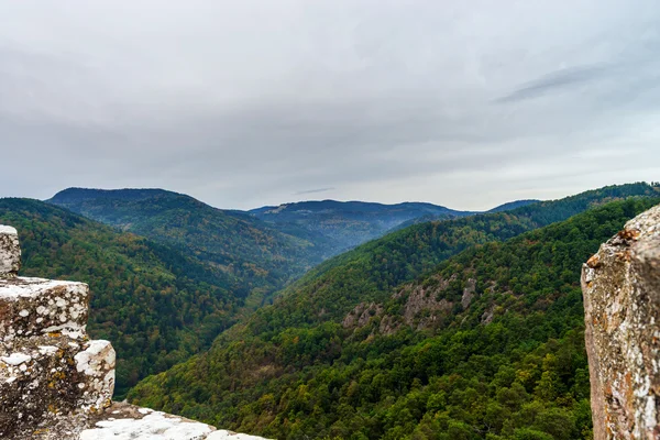 Hermoso paisaje de montañas desde la cima de la colina con niebla —  Fotos de Stock